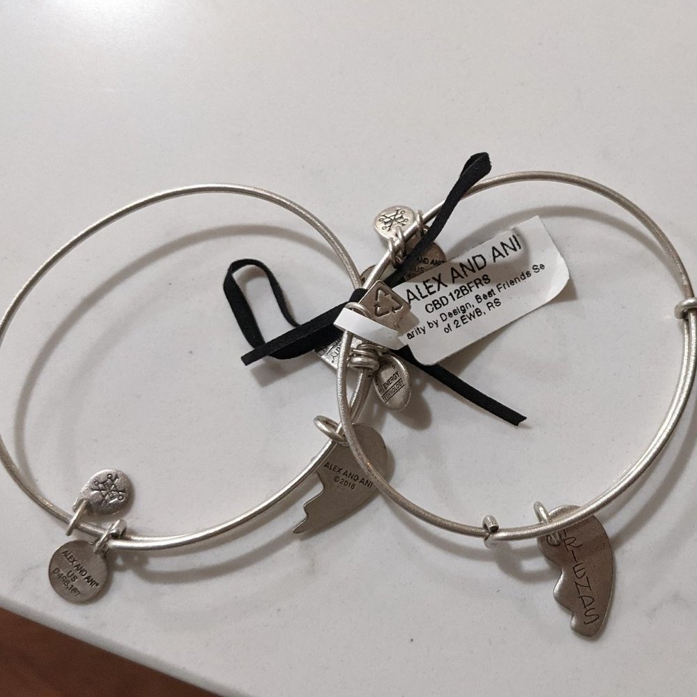 NWT Alex and Ani Silver Best Friends Bracelet set